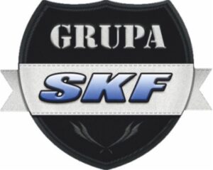 Grupa skf 300x239