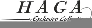 Haga 300x91