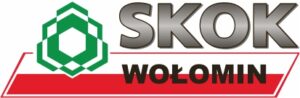 Skok 300x98